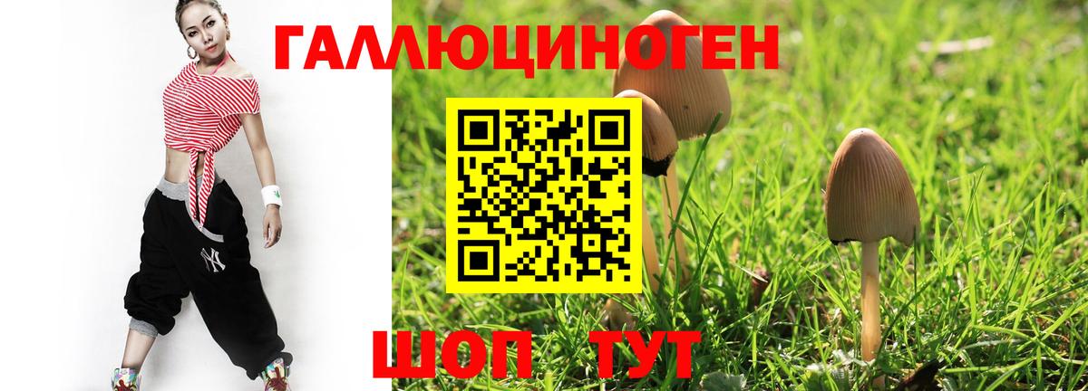 Галлюциногенные грибы ЛСД  Вход с VPN  продажа наркотиков  Псилоцибиновые грибы Magic Shrooms  Каменка 