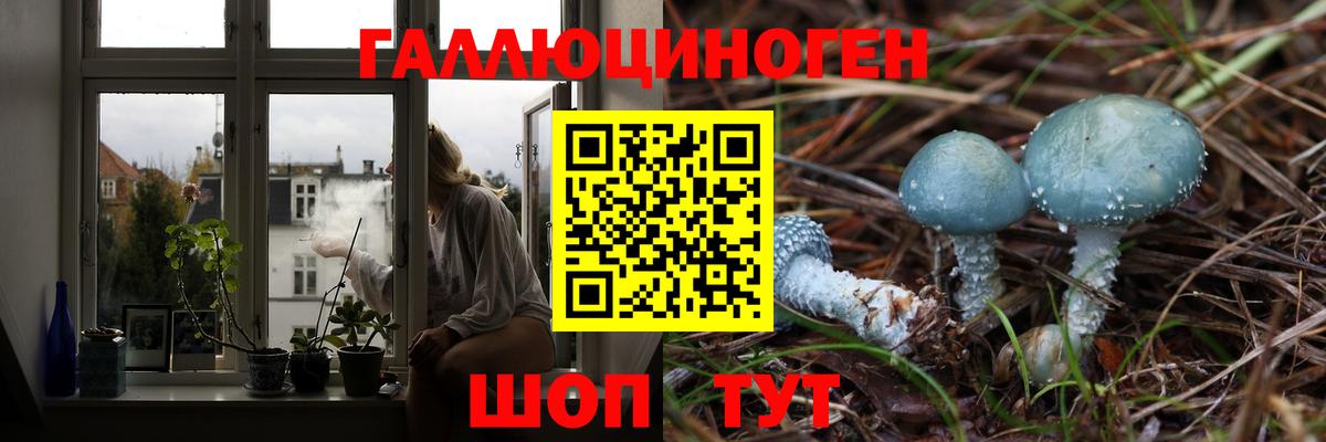 Псилоцибиновые грибы Magic Shrooms Каменка